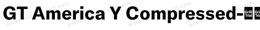 GT America Y Compressed字体转换